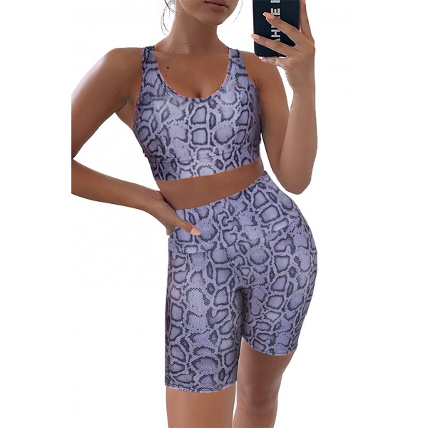 Purple Yoga Activewear Fitness Shorts Set